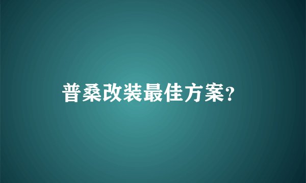 普桑改装最佳方案？