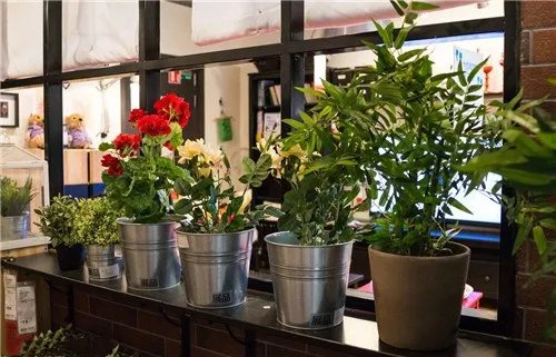 如何去除新装修房子甲醛