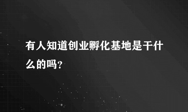 有人知道创业孵化基地是干什么的吗？