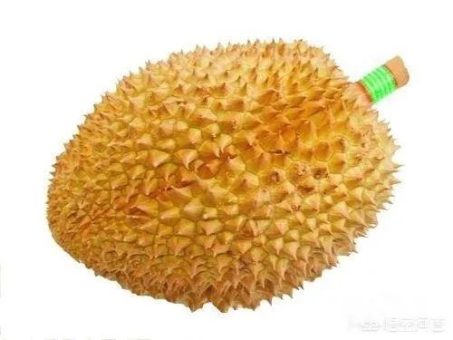 榴莲怎么吃图解？