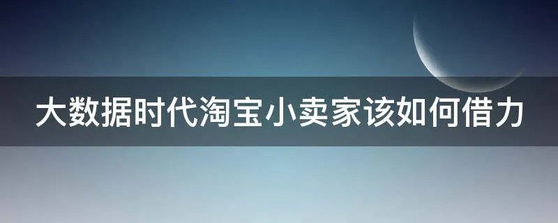 大数据时代淘宝小卖家该如何借力