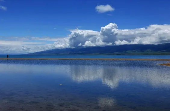 西宁美食排行榜前十名分别是哪些？