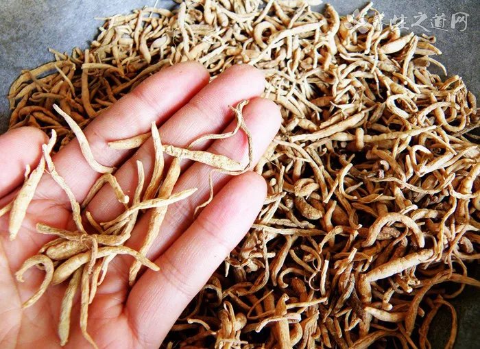 信阳红每斤多少钱 信阳红茶最新价目表 信阳红茶的等级