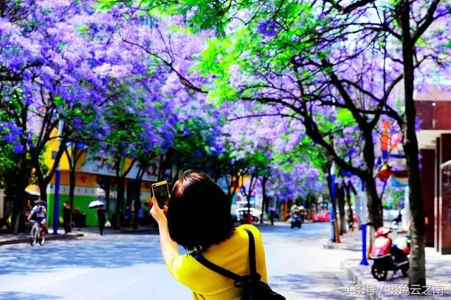 性价比最高的相机是哪款？