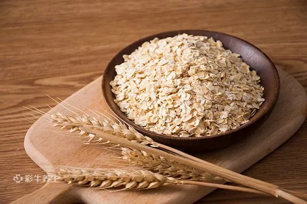 可以美白的食物