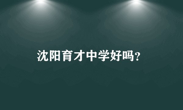 沈阳育才中学好吗？