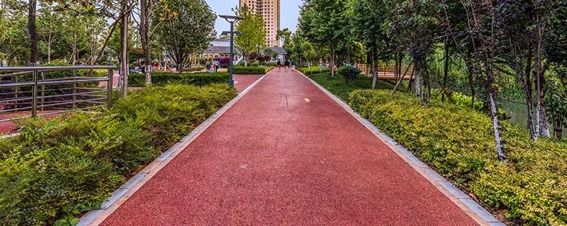 乔木和灌木的区别 乔木和灌木的区别在哪里