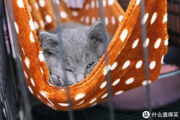 松下相机怎么样