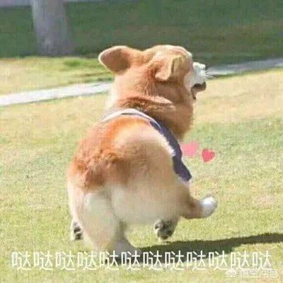 求网站那种网站