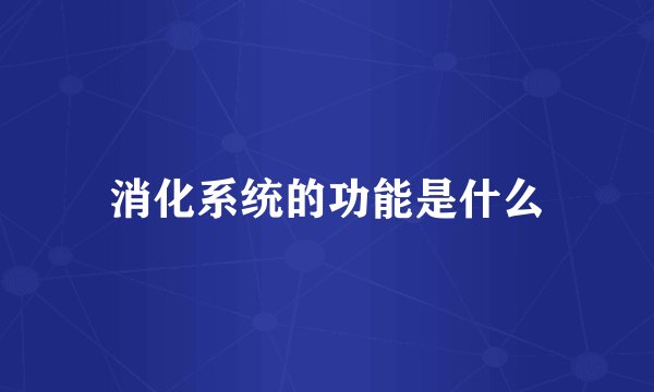 消化系统的功能是什么