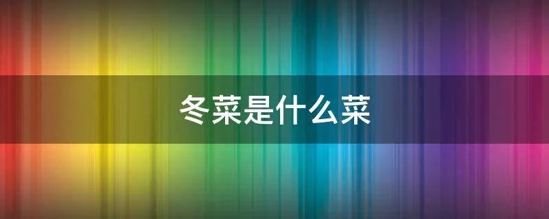 冬菜是什么菜