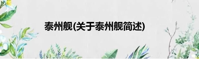 泰州舰(关于泰州舰简述)