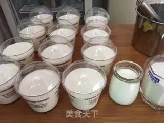 自制手工酸奶、生活更美味
