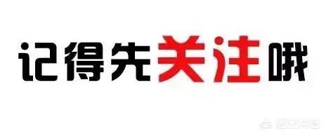 刚开始恋爱是什么感觉？