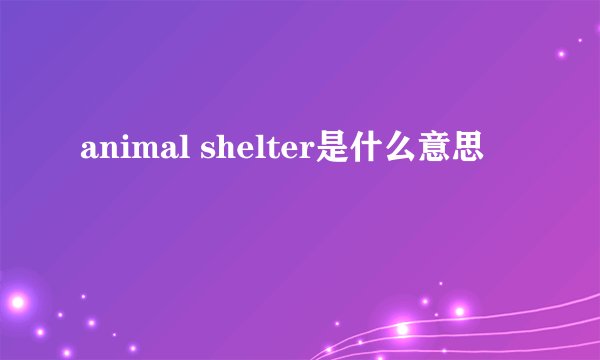 animal shelter是什么意思