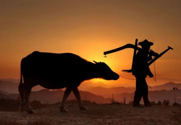 台湾民歌有哪些