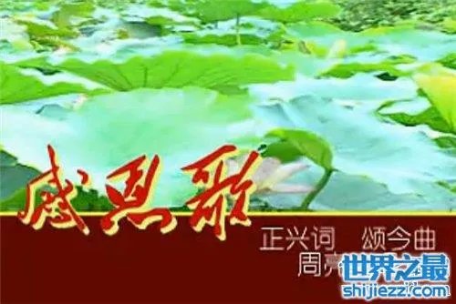 关于感恩的歌介绍，感恩催泪歌曲大全 