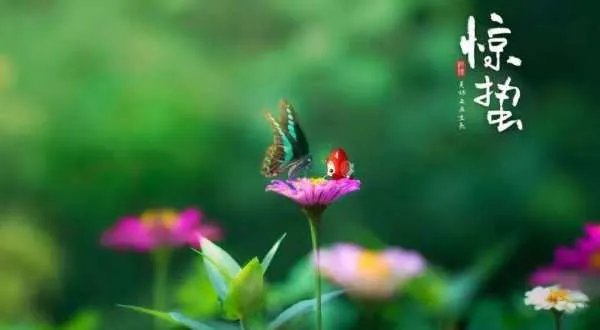 惊蛰怎么读，惊蛰怎么读，惊蛰广东话怎么读