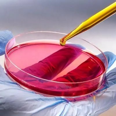 尿毒症怎么治疗