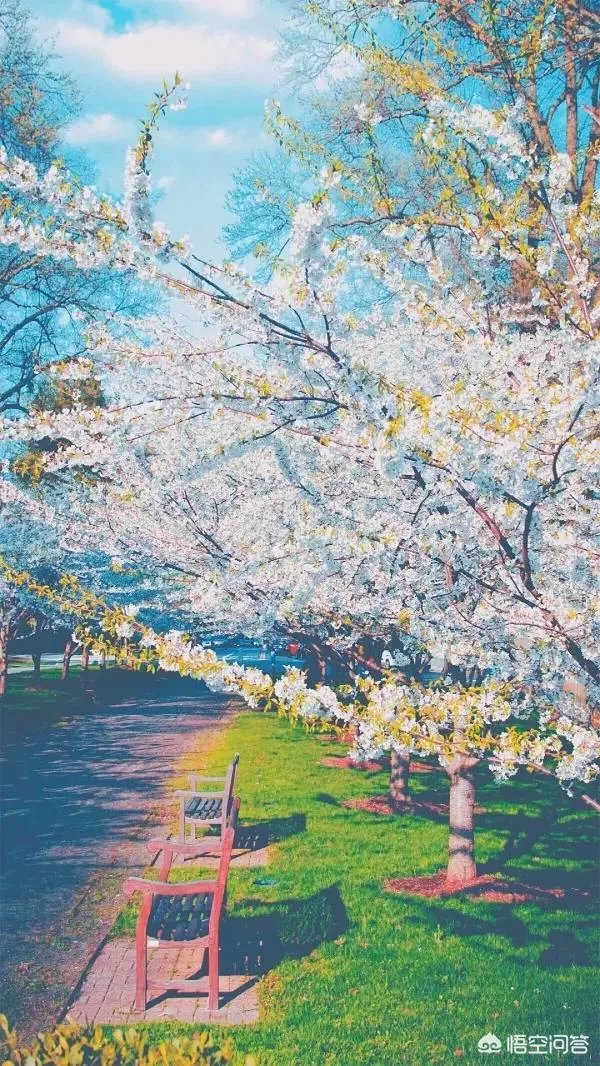 有什么好看的、景色秀丽的壁纸？