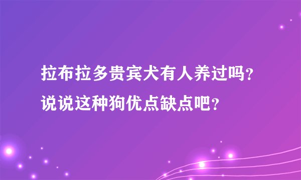 拉布拉多贵宾犬有人养过吗？说说这种狗优点缺点吧？