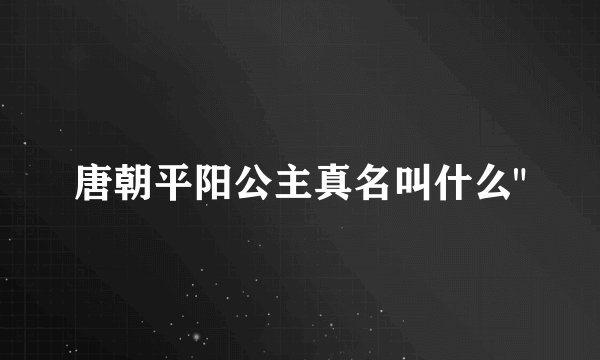 唐朝平阳公主真名叫什么