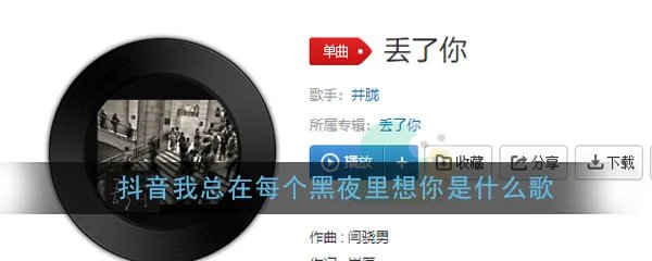抖音我总在每个黑夜里想你是什么歌