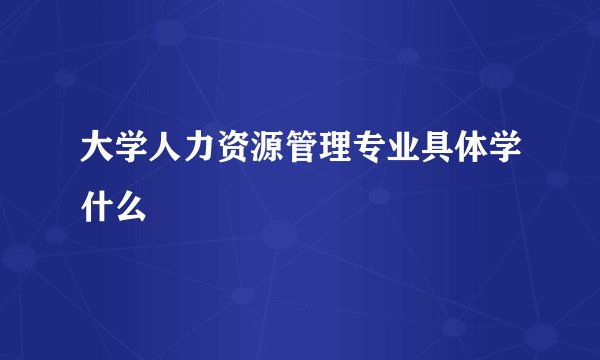 大学人力资源管理专业具体学什么