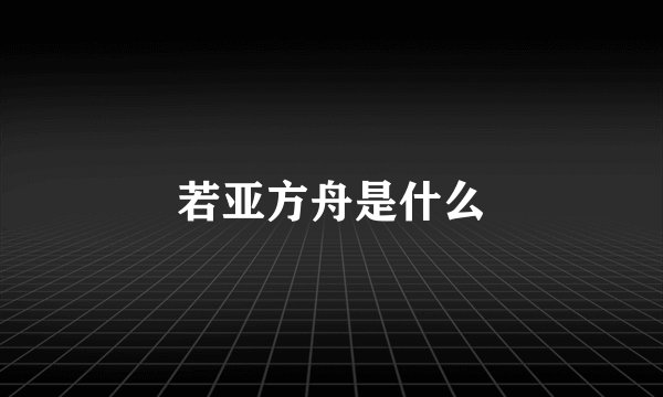 若亚方舟是什么