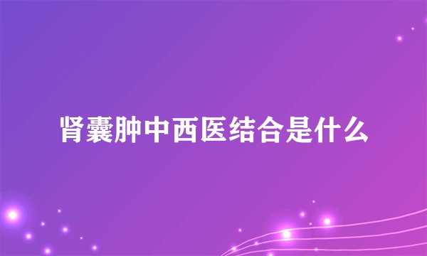 肾囊肿中西医结合是什么