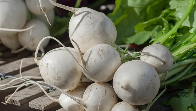 白萝卜的营养价值