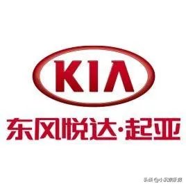 dyk是什么意思网络用语？