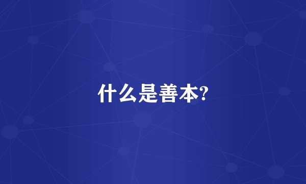 什么是善本?