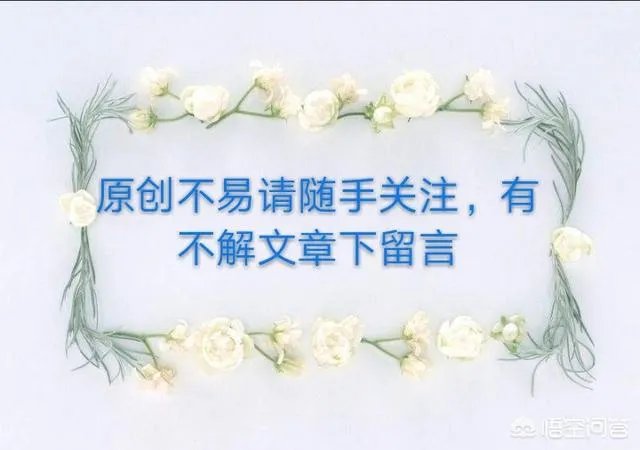 金钱树该怎么养？