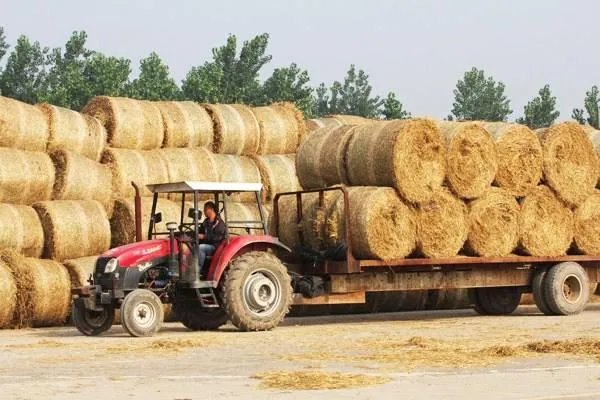 如何合理利用秸秆