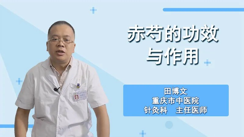  赤芍的功效与作用