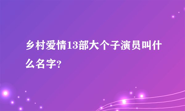 乡村爱情13部大个子演员叫什么名字？