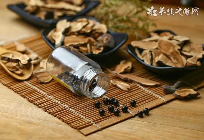 蕲蛇的功效与作用_蕲蛇图片