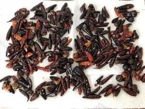 开个面馆加盟店要多少费用?华飞重庆小面馆加盟5万元够吗?