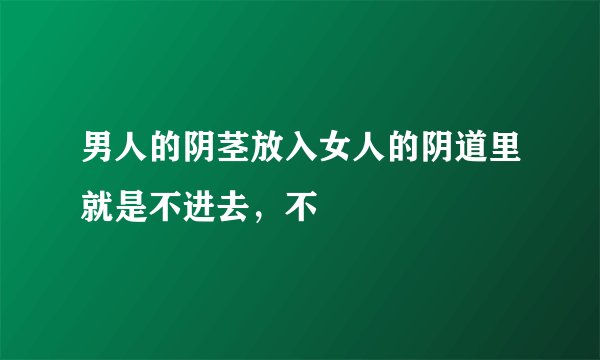 男人的阴茎放入女人的阴道里就是不进去，不