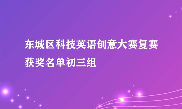 东城区科技英语创意大赛复赛获奖名单初三组