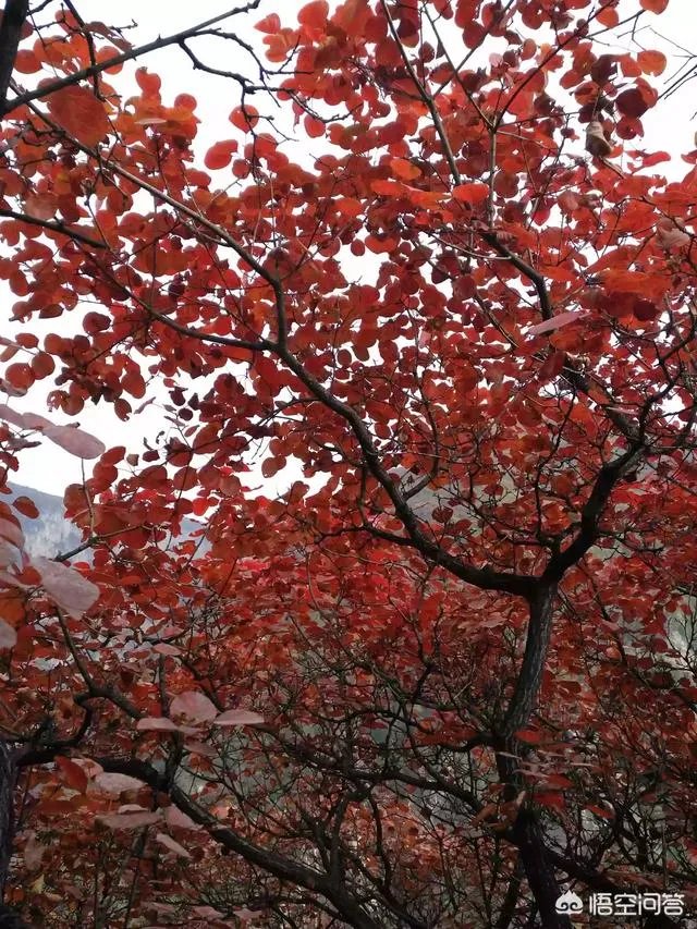 邢台云梦山怎么样啊？