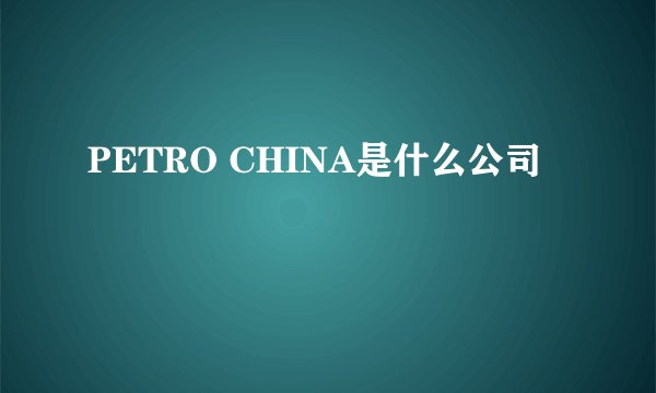 PETRO CHINA是什么公司