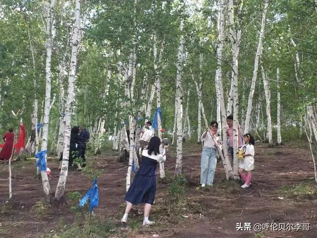 去呼伦贝尔大草原玩的旅游攻略？