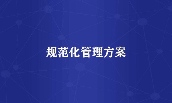 规范化管理方案