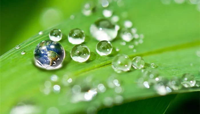 雪的形成 雪的形成原理