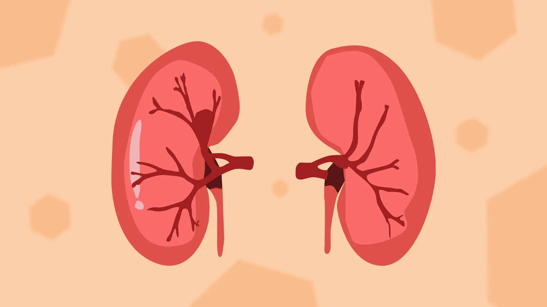 磁石的作用与功效