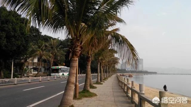 珠海情侣路为什么叫情侣路？