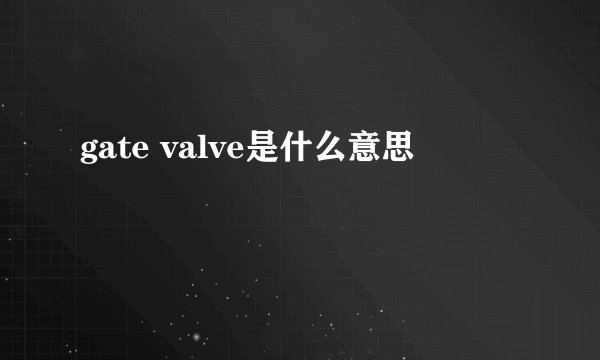 gate valve是什么意思