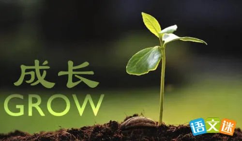 成长不烦恼